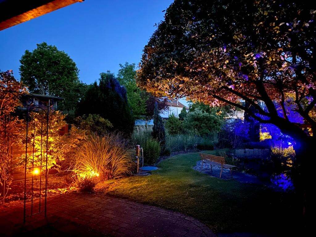 Garten bei Nacht mit Wegeleuchten und angestrahlten Bäumen
